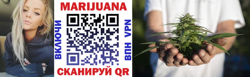 Канабис планчик  где купить наркоту  Терек 